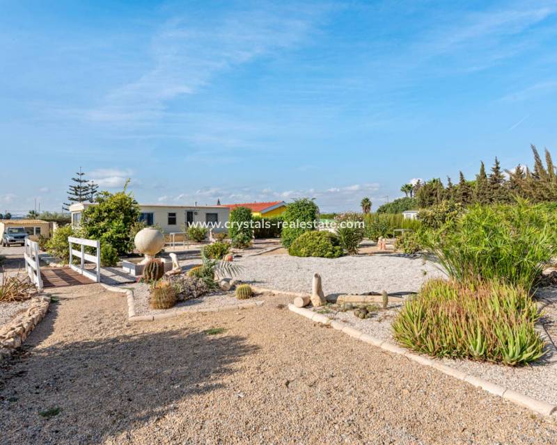 Wiederverkauf - Finca / Country Property - Los Montesinos