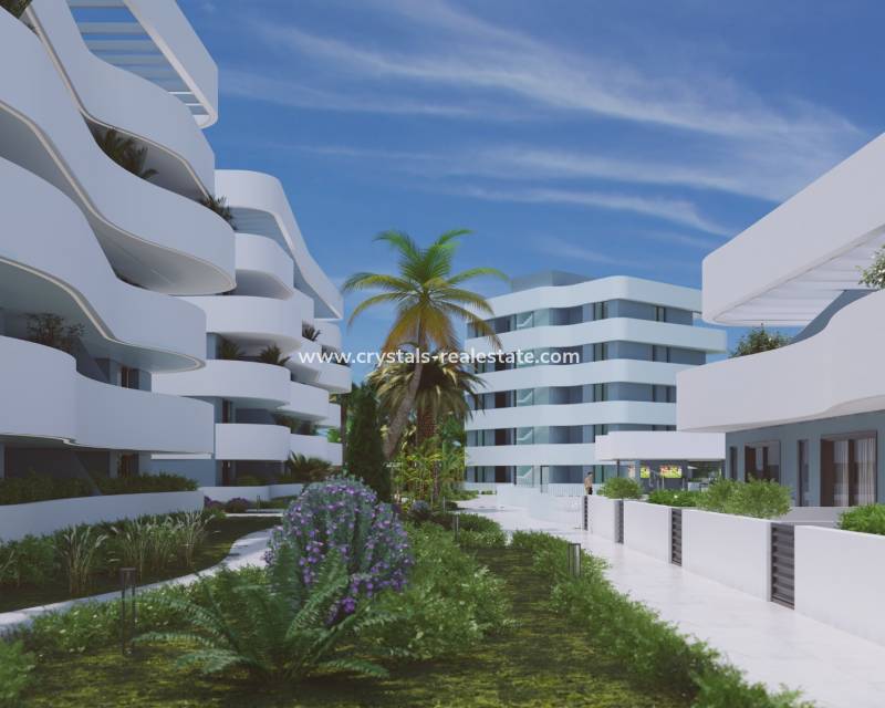 New Build - Apartment - Guardamar del Segura - Urb el raso