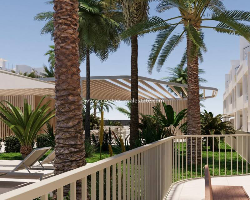 New Build - Apartment - Torre Pacheco - San Cayetano