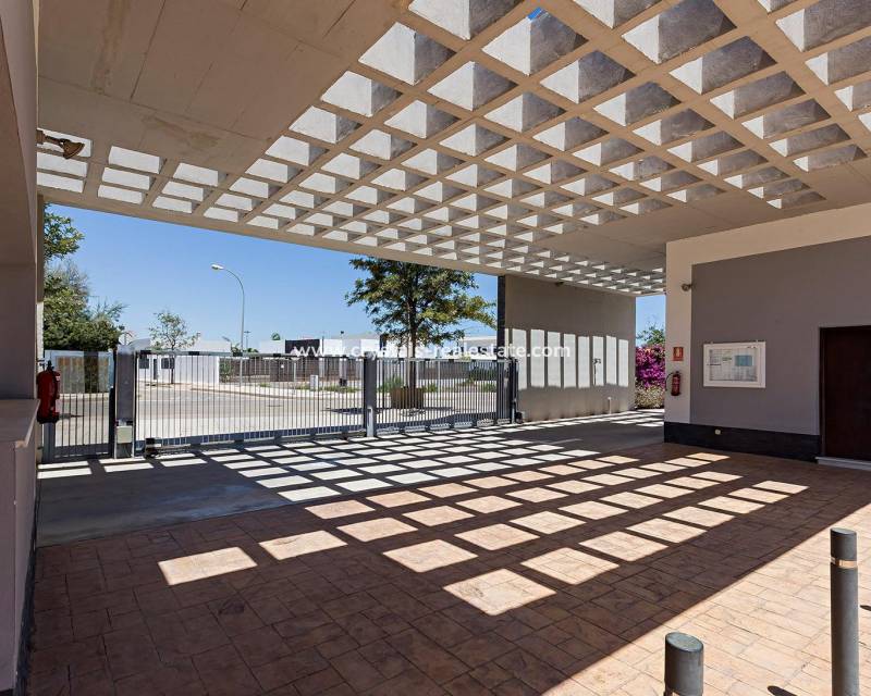 Nieuwbouw - Penthouse - Vera - El Playazo