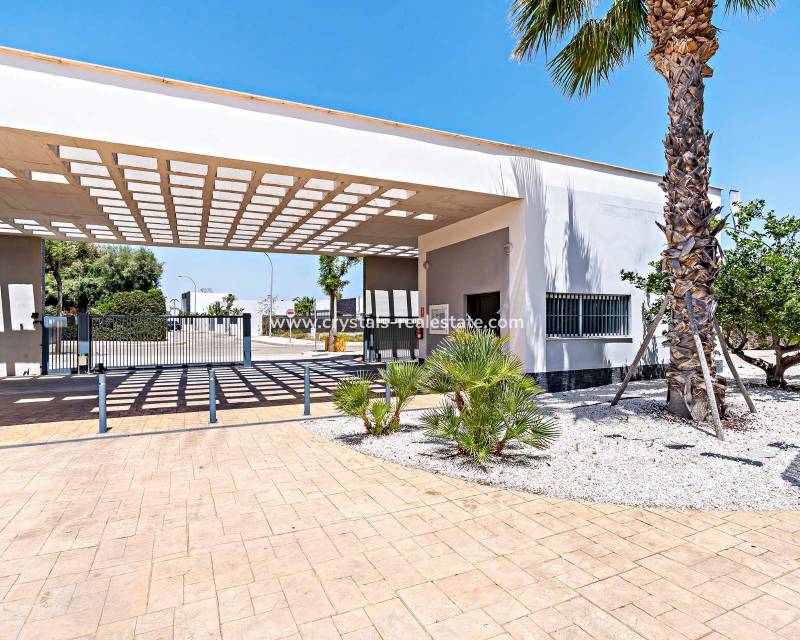 Nieuwbouw - Penthouse - Vera - El Playazo