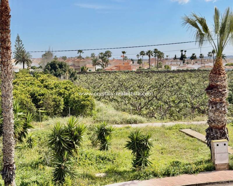 Resale - Apartment - Ciudad Quesada - Ciudad Quesada - Doña Pepa