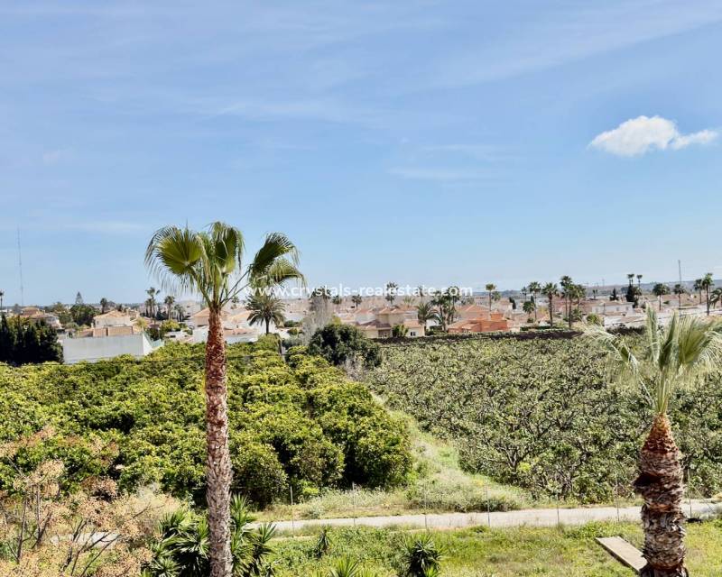 Resale - Apartment - Ciudad Quesada - Ciudad Quesada - Doña Pepa