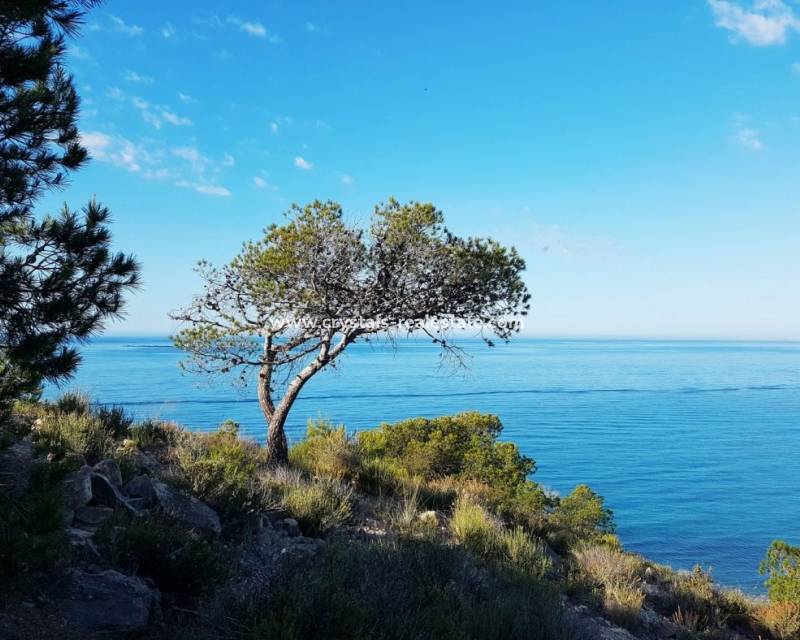 New Build - Apartment - Villajoyosa - Playa Les Torres