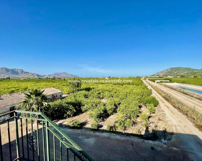 Venta - villa - Orihuela