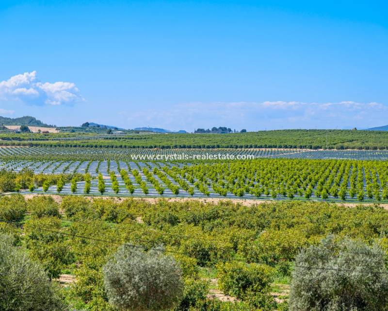 Resale - Apartment - Algorfa - Fontana