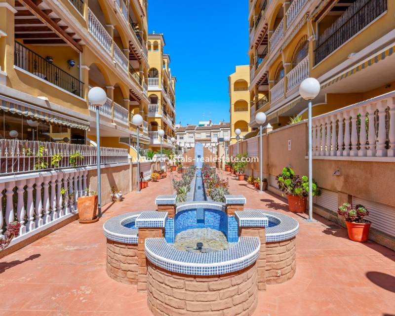 Resale - Apartment - Algorfa - Fontana