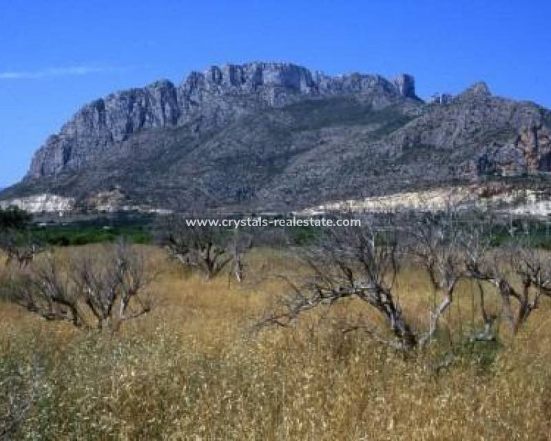 New Build - Penthouse - El Verger