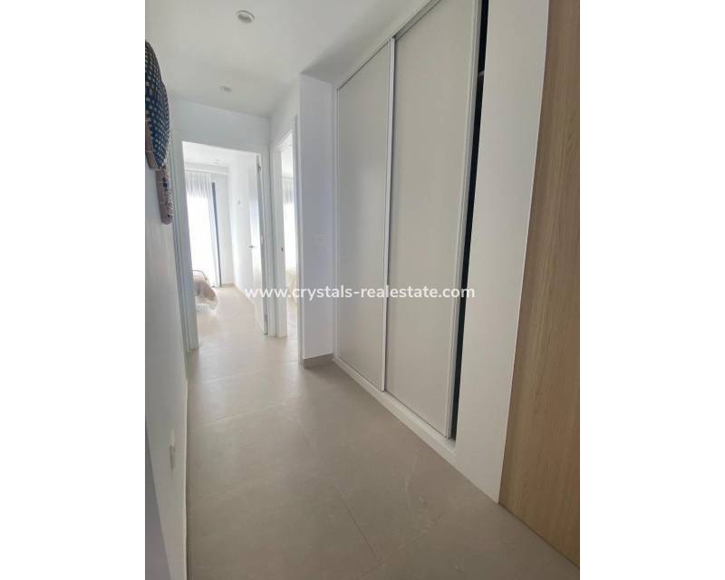 New Build - Bungalow - San Pedro del Pinatar - El Salero