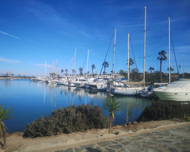 Long time Rental - Appartement - Formentera - Formentera del Segura