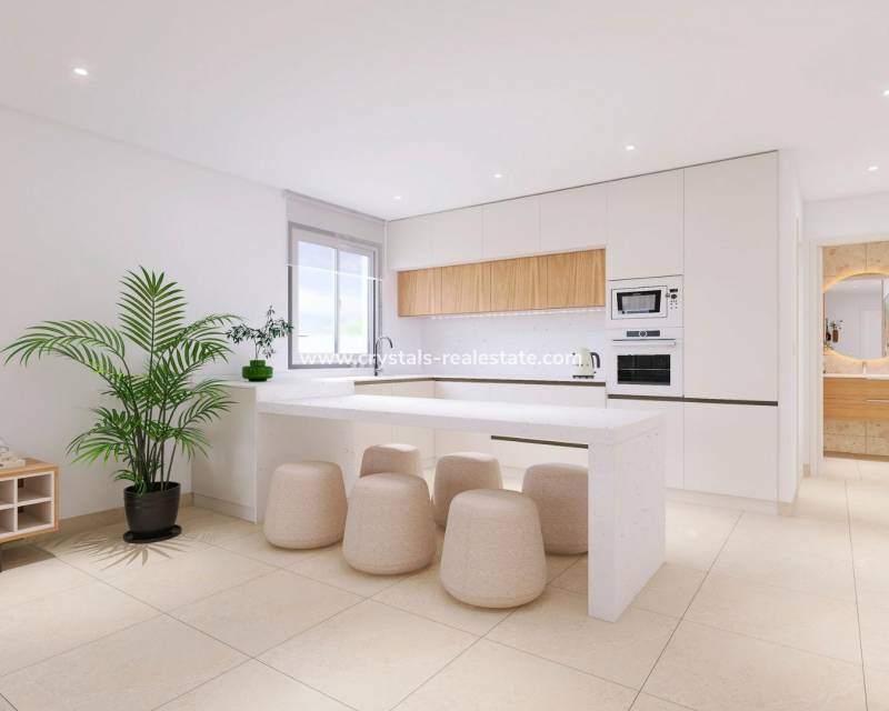 Neubau - Quad House - Bigastro - pueblo
