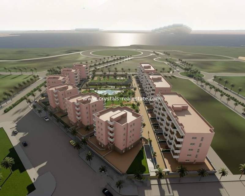 Nieuwbouw - Penthouse - Guardamar del Segura - El Raso