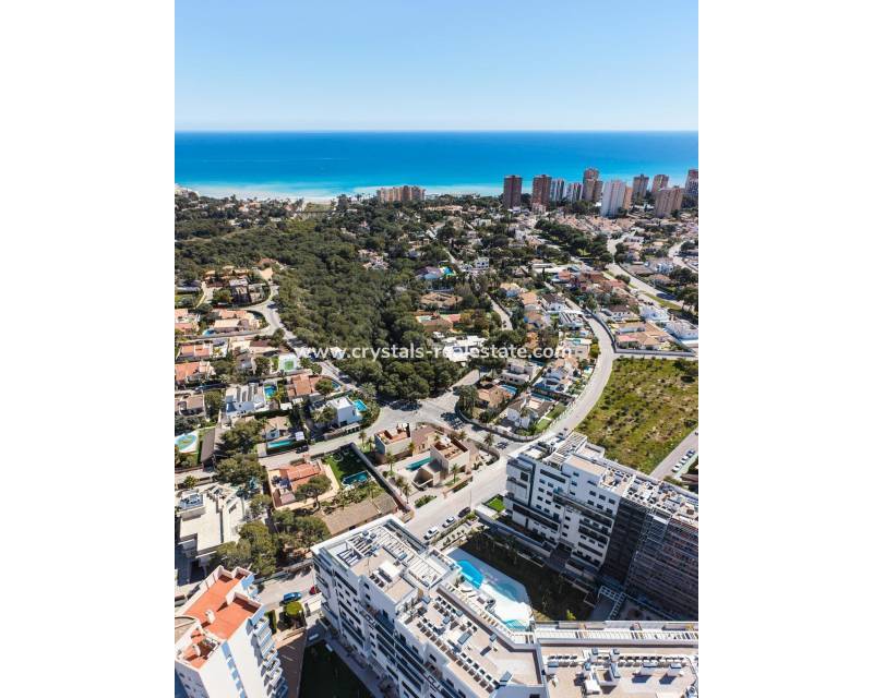 Nieuwbouw - villa - Orihuela Costa - Dehesa de campoamor
