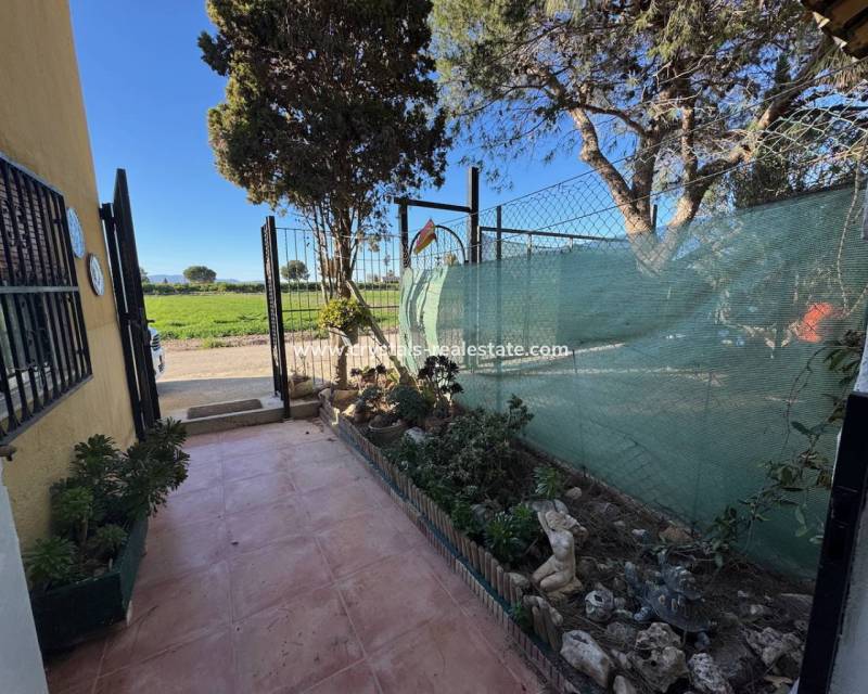 Wiederverkauf - Finca / Country Property - Guardamar del Segura