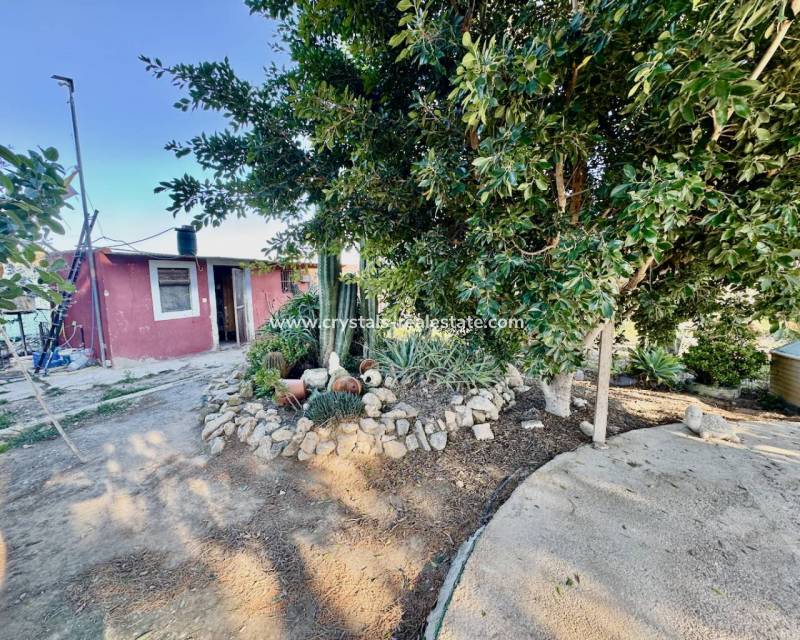 Wiederverkauf - Finca / Country Property - Guardamar del Segura