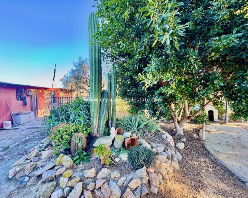 Wiederverkauf - Finca / Country Property - Guardamar del Segura