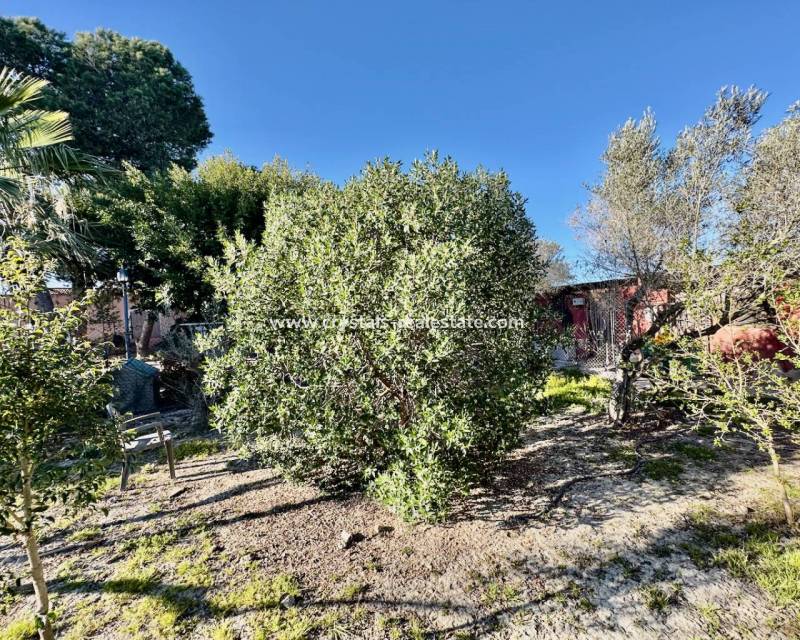 Wiederverkauf - Finca / Country Property - Guardamar del Segura