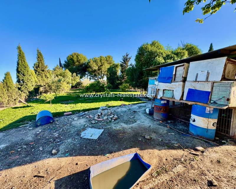 Wiederverkauf - Finca / Country Property - Guardamar del Segura