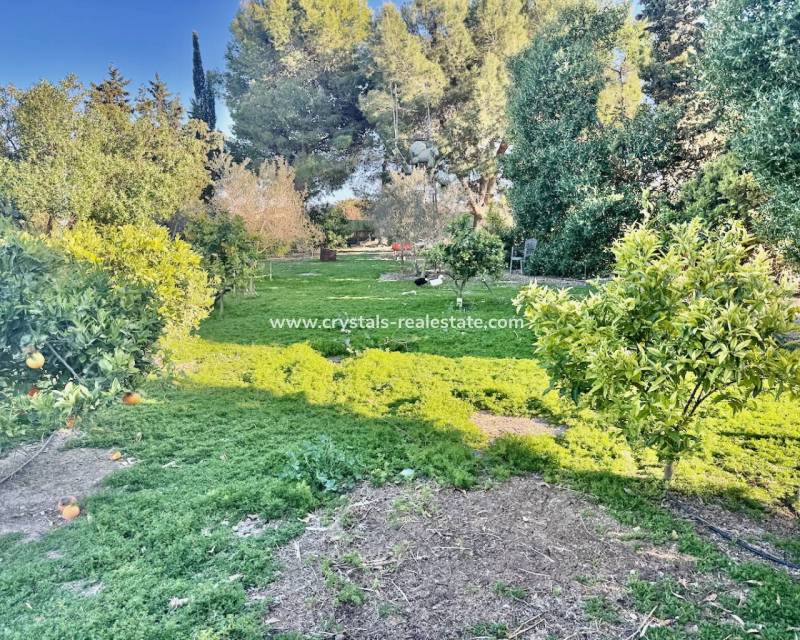 Wiederverkauf - Finca / Country Property - Guardamar del Segura