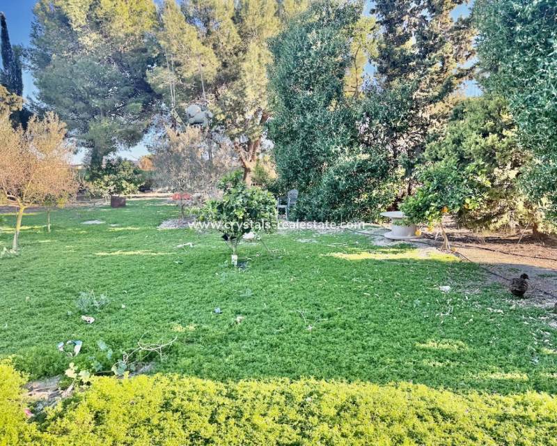 Wiederverkauf - Finca / Country Property - Guardamar del Segura