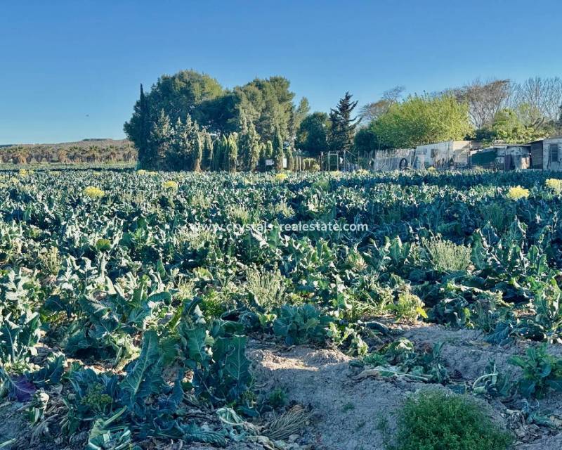 Wiederverkauf - Finca / Country Property - Guardamar del Segura