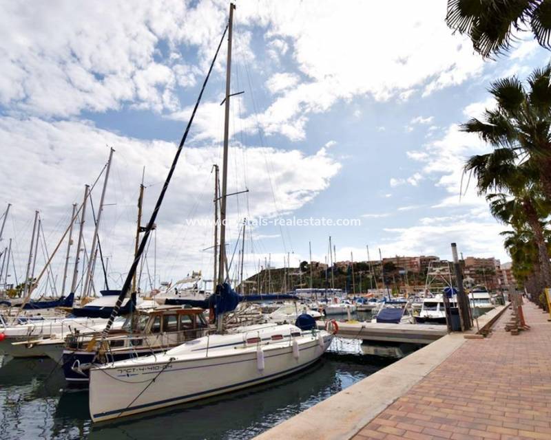 Neubau - Apartment - Puerto de Mazarron - Playa del Puerto