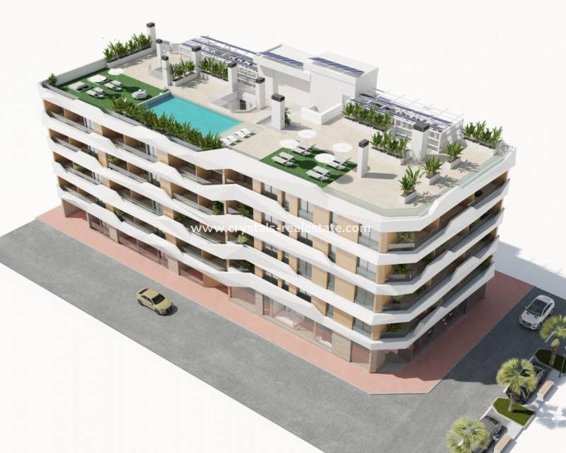 Neubau - Apartment - Guardamar del Segura - Pueblo