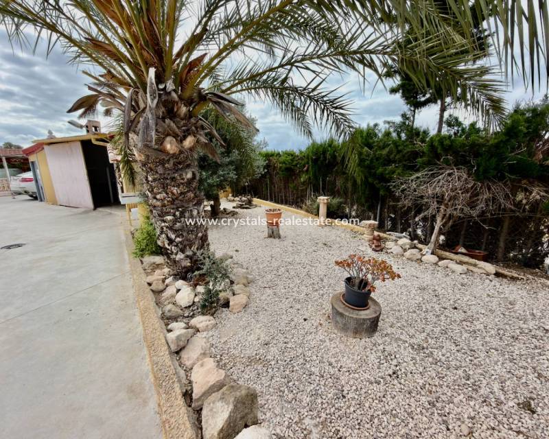 Resale - Finca / Country Property - San Fulgencio - La Marina