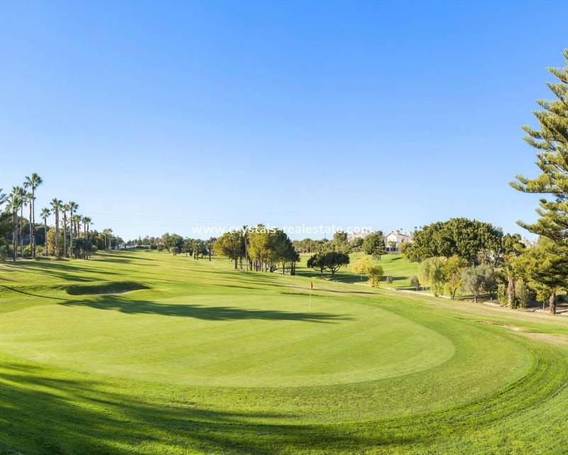 Nueva construcción  - Atico - Orihuela Costa - Lomas de Campoamor