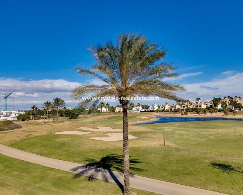 New Build - villa - Pilar de la Horadada - Lo Romero Golf