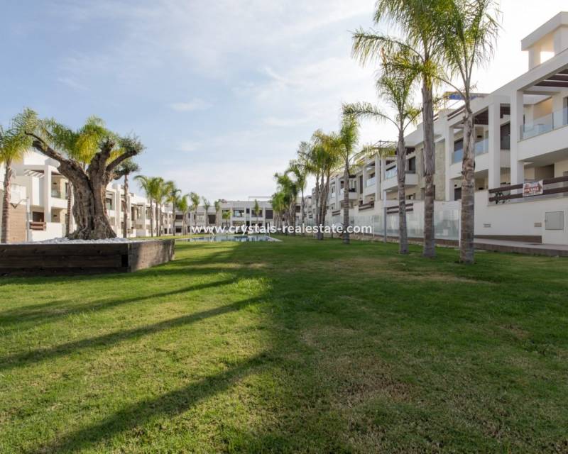 New Build - Bungalow - Torrevieja - Los balcones