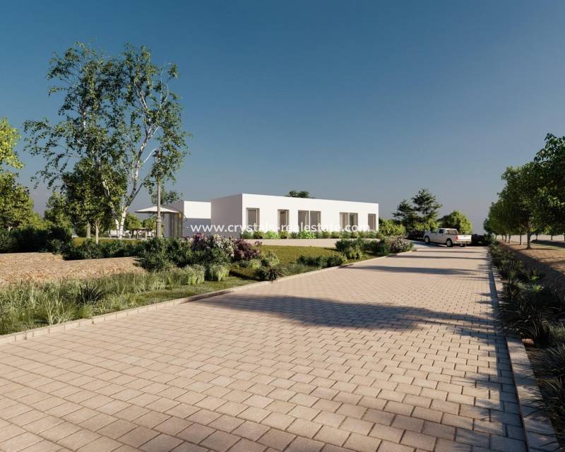 New Build - villa - Benejúzar - alta