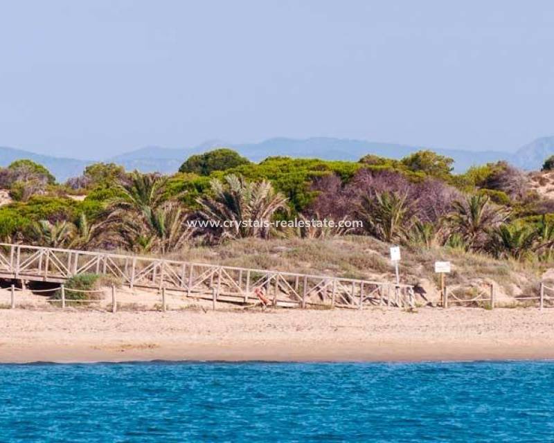 Neubau - Apartment - Guardamar del Segura - Pueblo