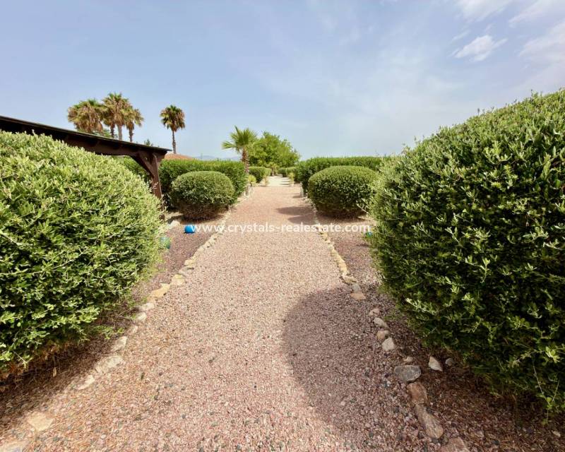 Revente - villa - Catral