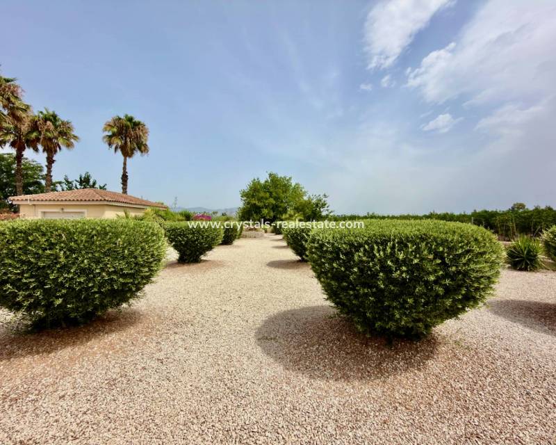 Revente - villa - Catral