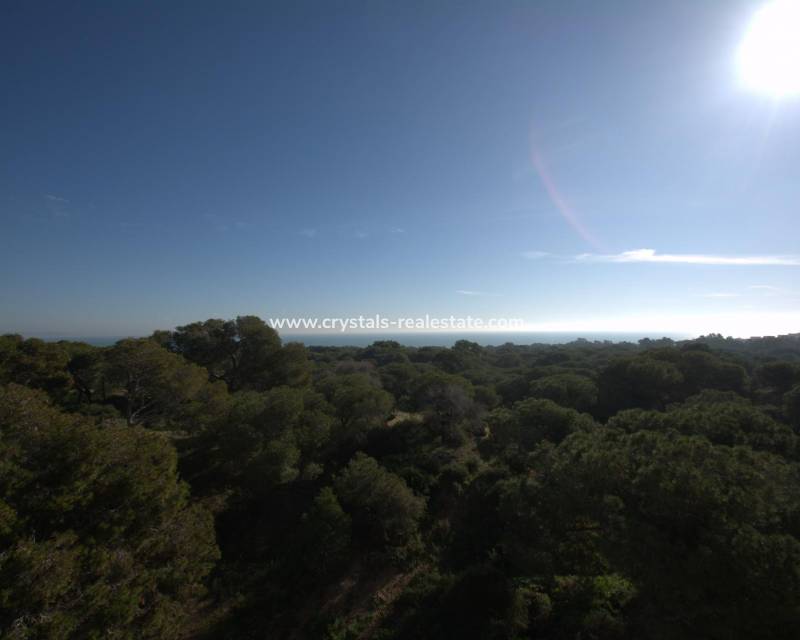 New Build - Apartment - Guardamar del Segura - Pueblo