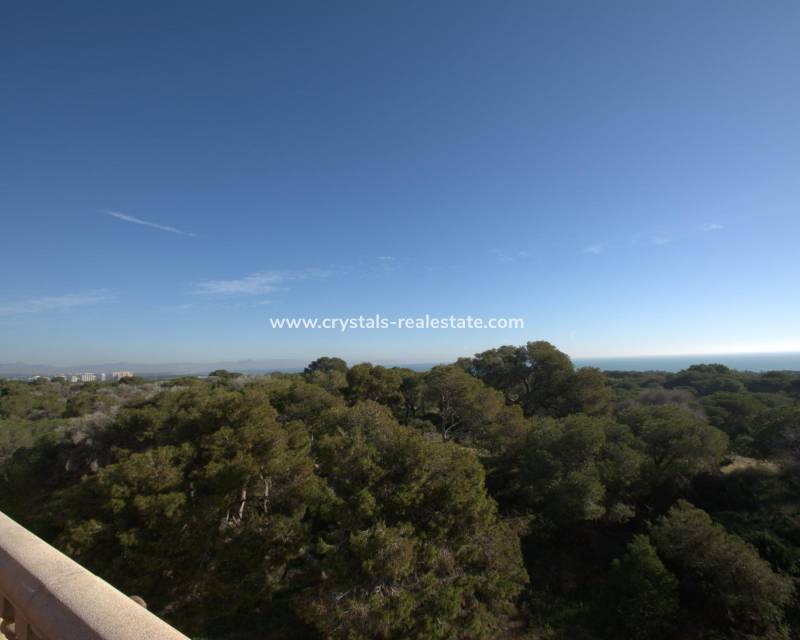 New Build - Apartment - Guardamar del Segura - Pueblo