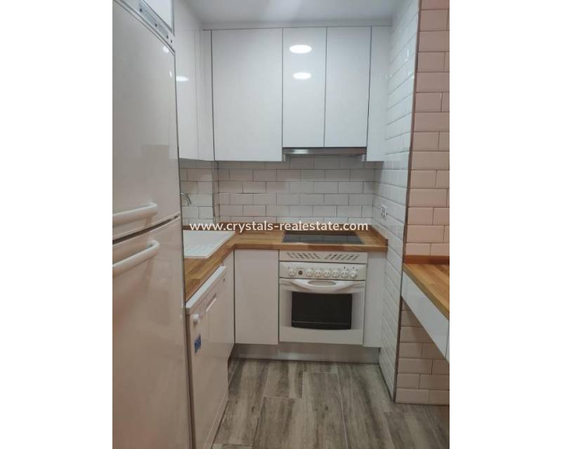Langzeitmiete - Apartment - Torrevieja