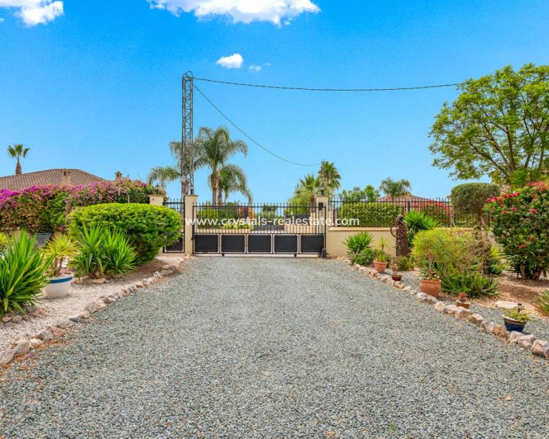 Revente - villa - Catral