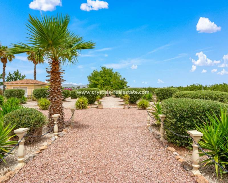 Revente - villa - Catral
