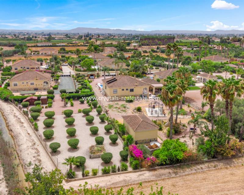 Revente - villa - Catral