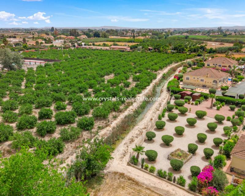 Revente - villa - Catral