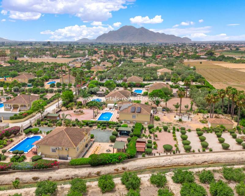 Revente - villa - Catral