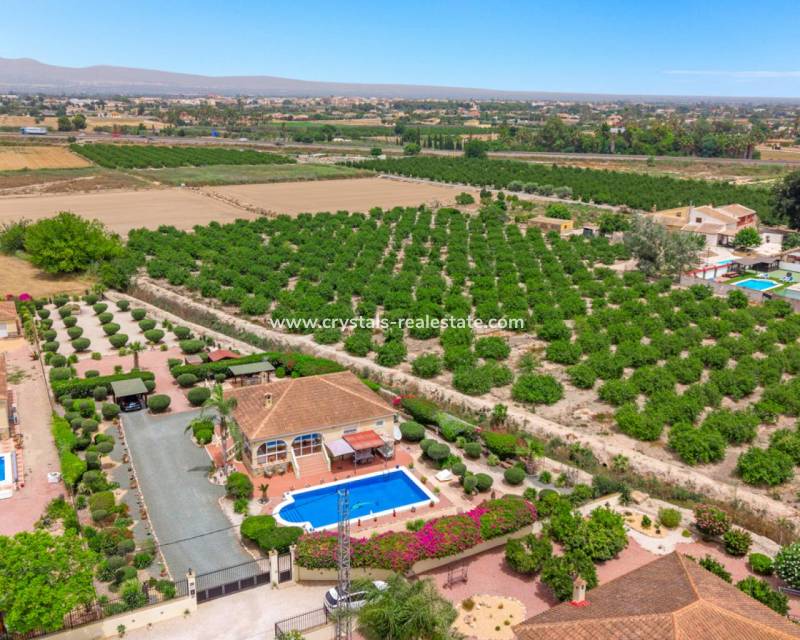 Revente - villa - Catral