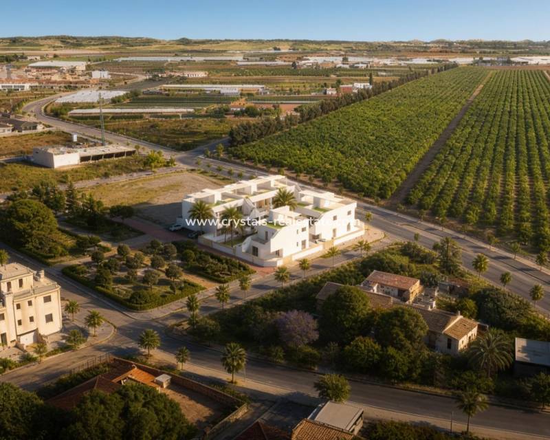 New Build - Bungalow - Pilar de la Horadada - pueblo