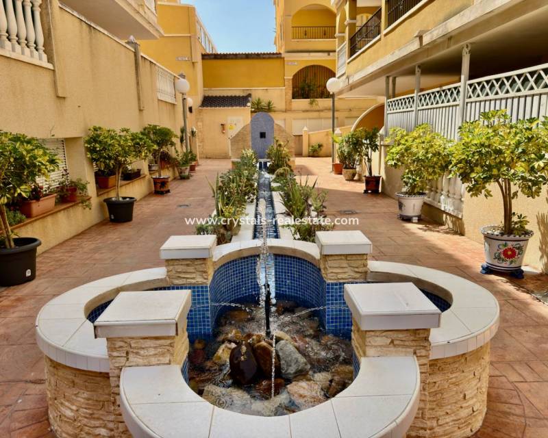 Revente - Appartement - Algorfa