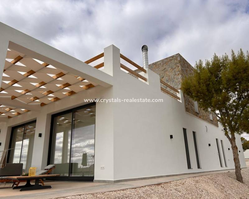 Neubau - villa - Pinoso - Casas Pastor