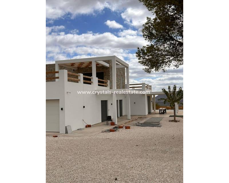 Neubau - villa - Pinoso - Casas Pastor