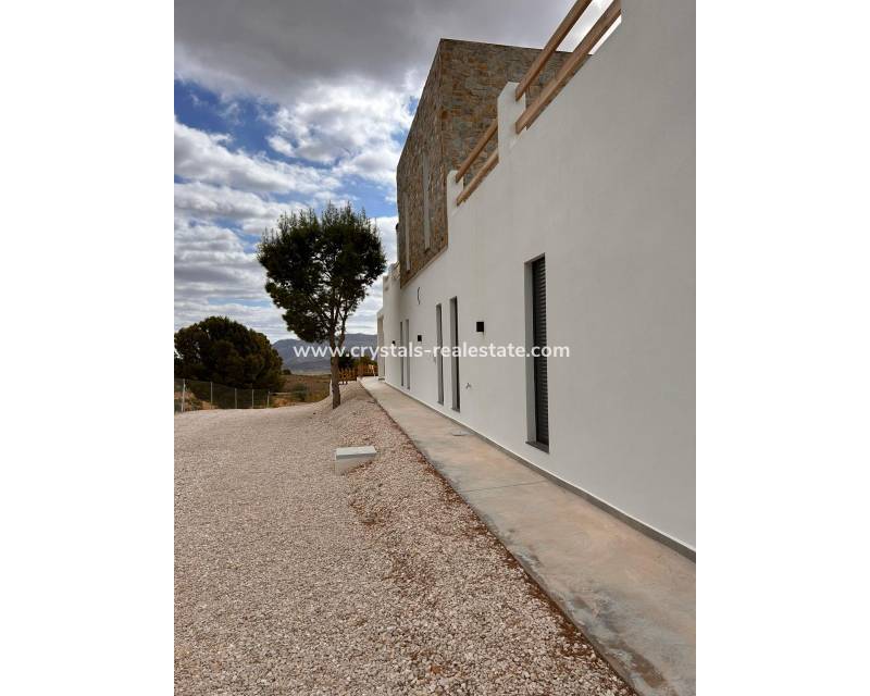 Neubau - villa - Pinoso - Casas Pastor