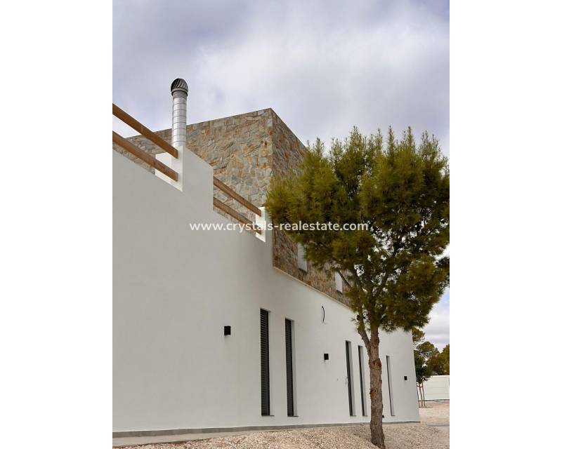 Neubau - villa - Pinoso - Casas Pastor